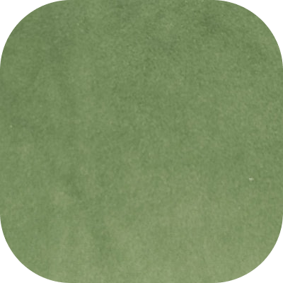 Velvet Basil - Torque India